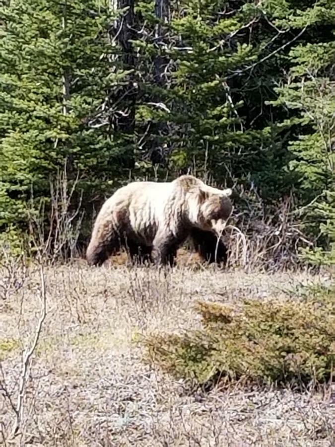Roche Bonhomme Rustic Suite Jasper Exteriér fotografie